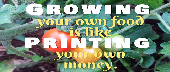 Grow, Forage and Pick your Own Food