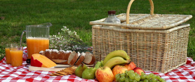 Plan a Picnic for Four for £25